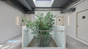 Interior moderno com guarda-corpo de vidro central, claraboia e planta em vaso.
