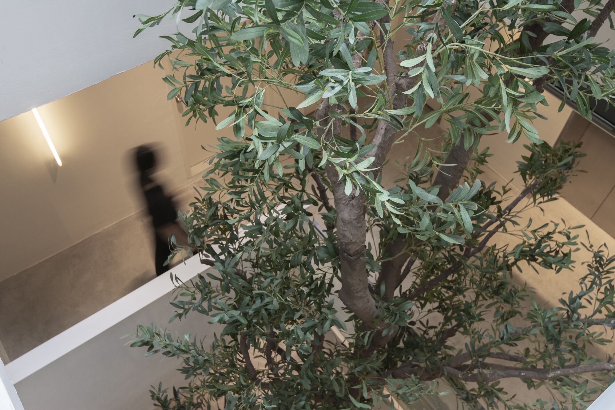 Foto - KINN Capsule - HER Space, Female Only