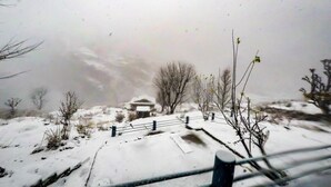 View from property - AYOYA Malana - Shiva Cafe (Bhuntar)
