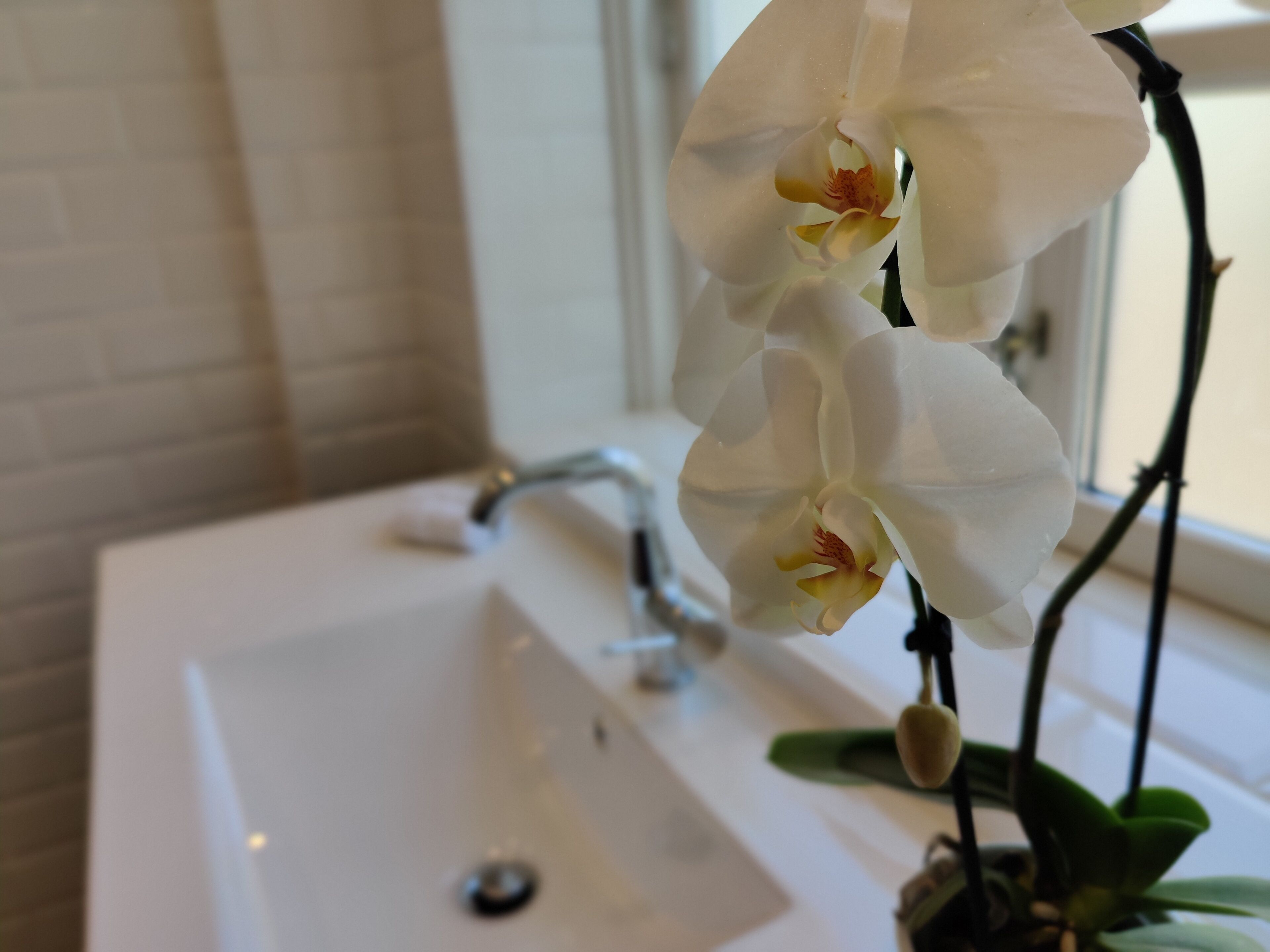 A bathroom with a white sink and a window.