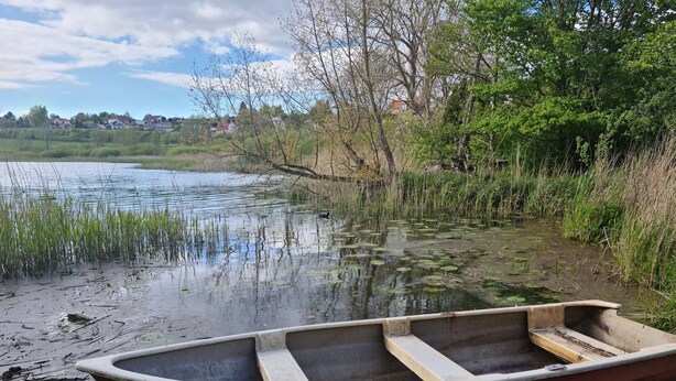 Un pequeño bote de madera atado a un muelle junto a un lago tranquilo, con vegetación y casas al fondo.