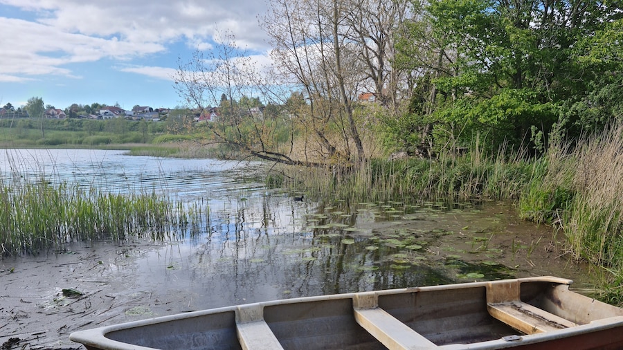 The Old Mill - By the Lake