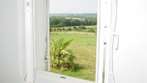 Uitzicht door een open deur op een grasveld met een palmboom, een hek en bomen in de verte.