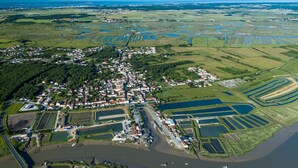 Luftaufnahme einer Küstenstadt mit Wohngebieten, einem Jachthafen und landwirtschaftlichen Feldern.