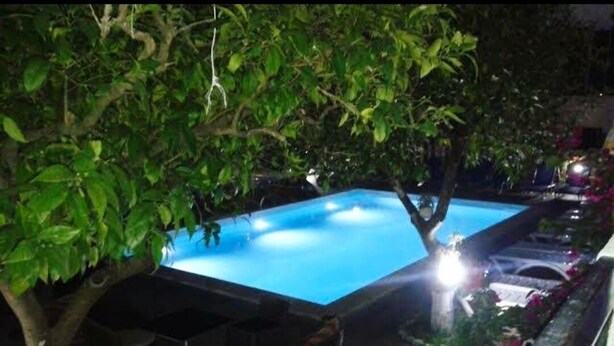 An outdoor swimming pool with a tree overhead, surrounded by wicker furniture and a flower bed. - Central Hotel (Parga)