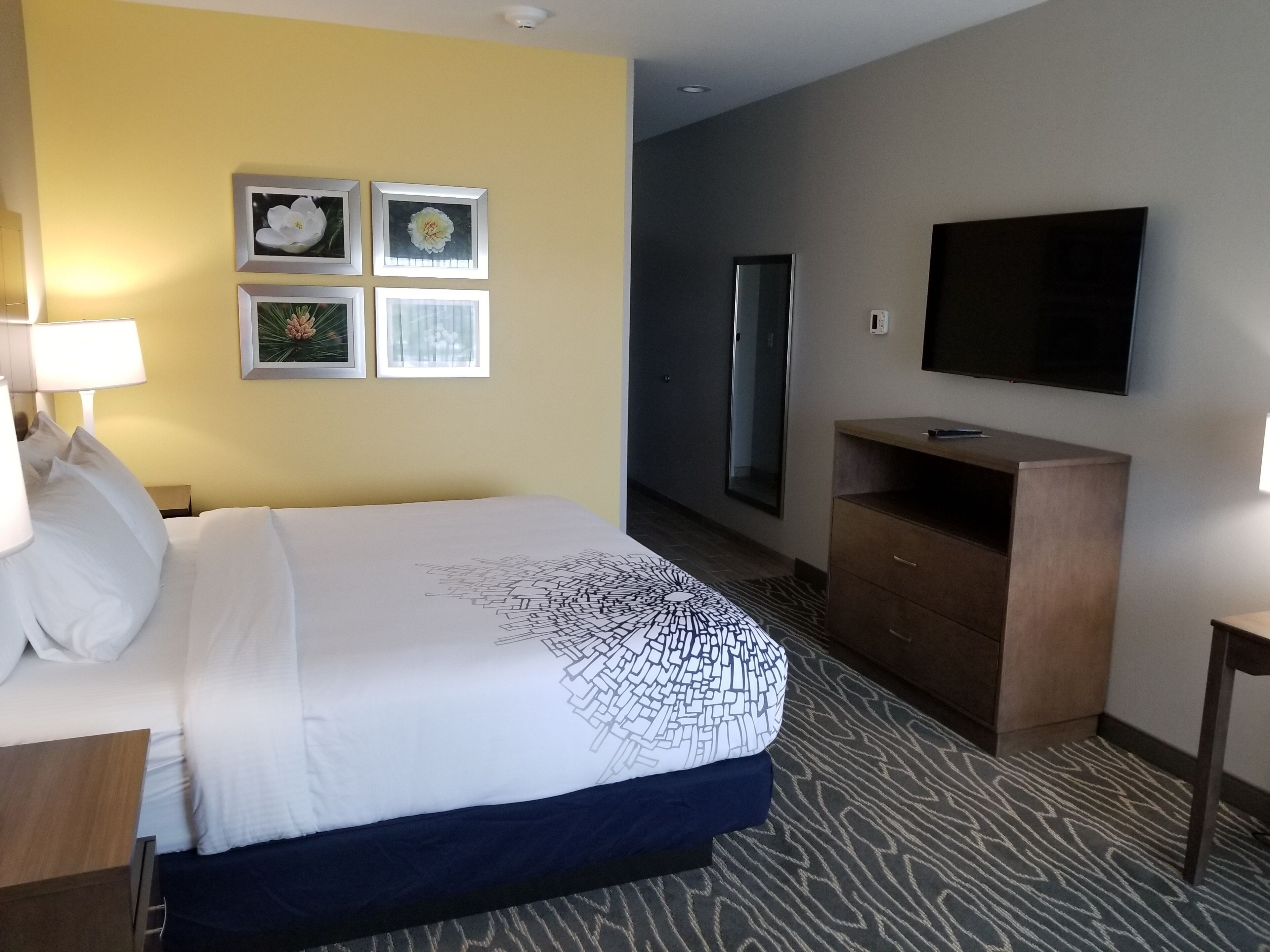 A hotel room with a bed, a TV, a desk, and a dresser. There are four framed pictures on the wall.