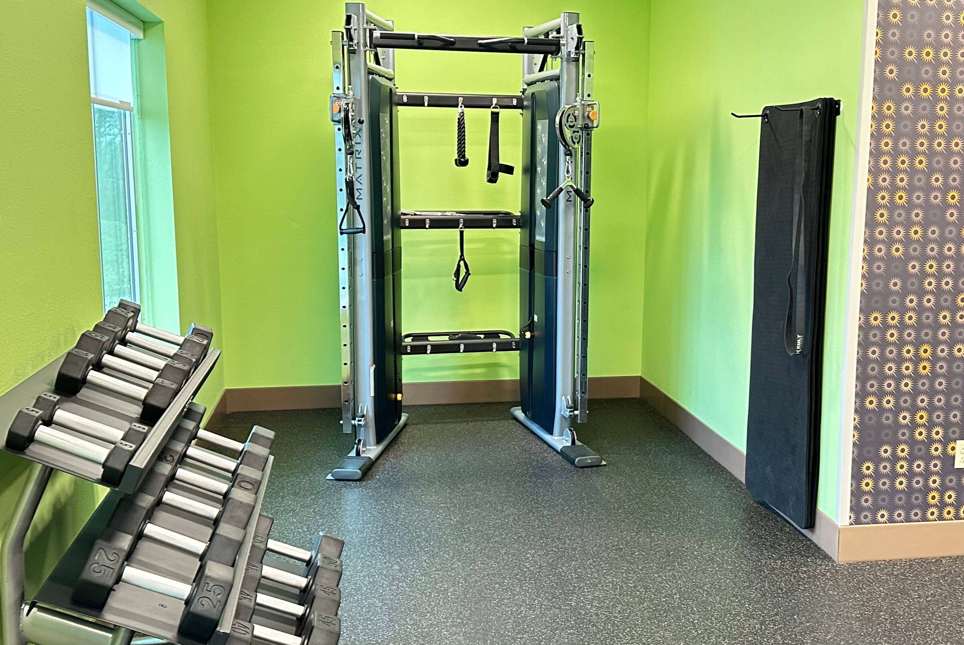 A gym with a pull-up bar, weight racks, and a door.