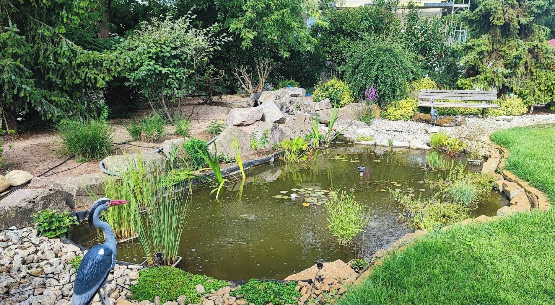 Un estanque con rocas y plantas, un banco y un pájaro.