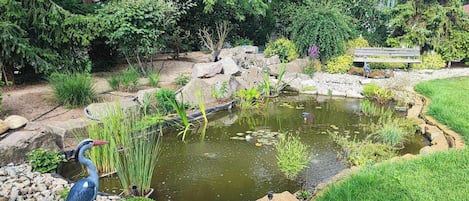 Un estanque con rocas y plantas, un banco y un pájaro.