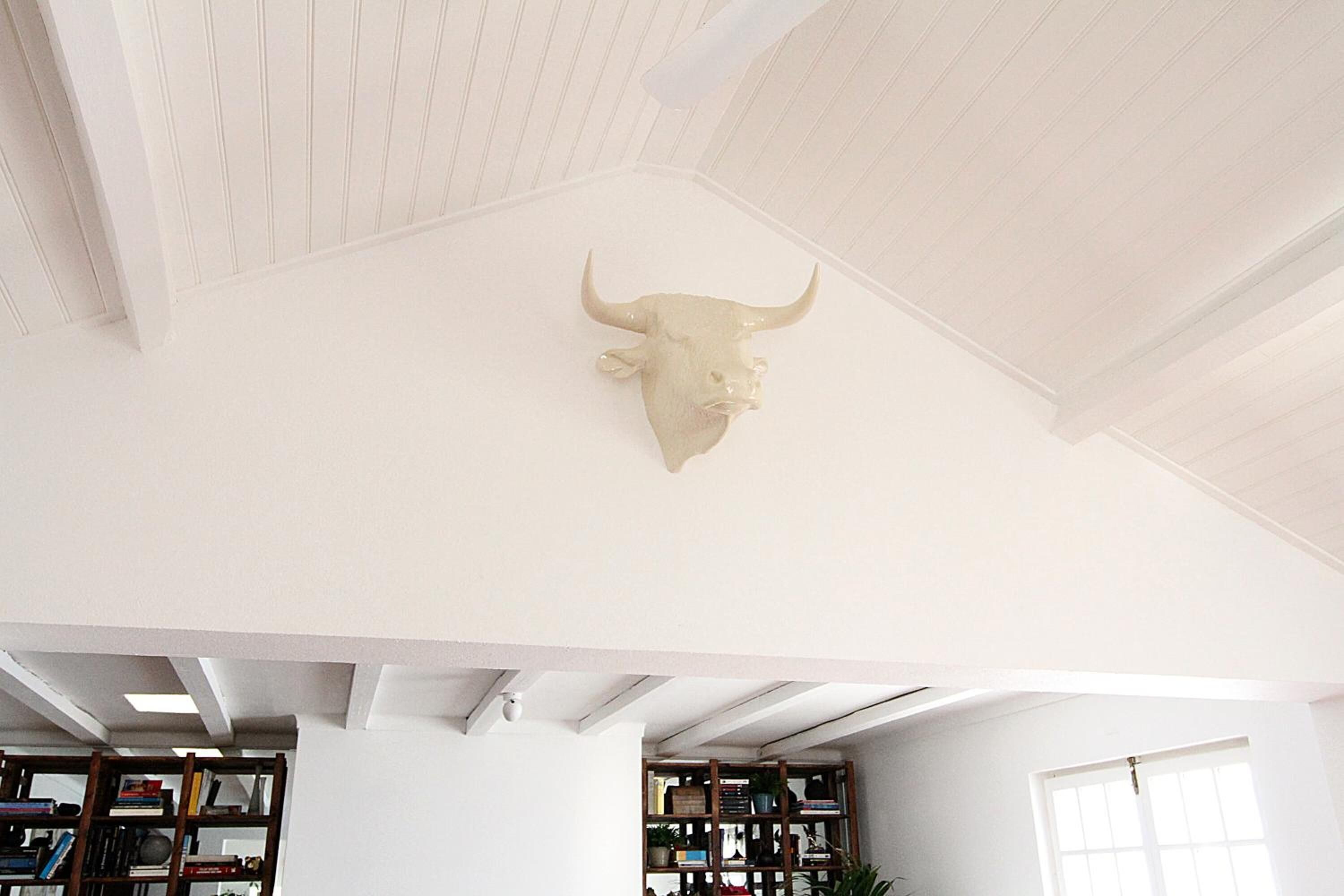 A room with a high ceiling, a bull's head mounted on the wall, and a bookshelf filled with books.