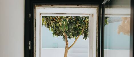 Una ventana con vista a un árbol y una pared blanca.