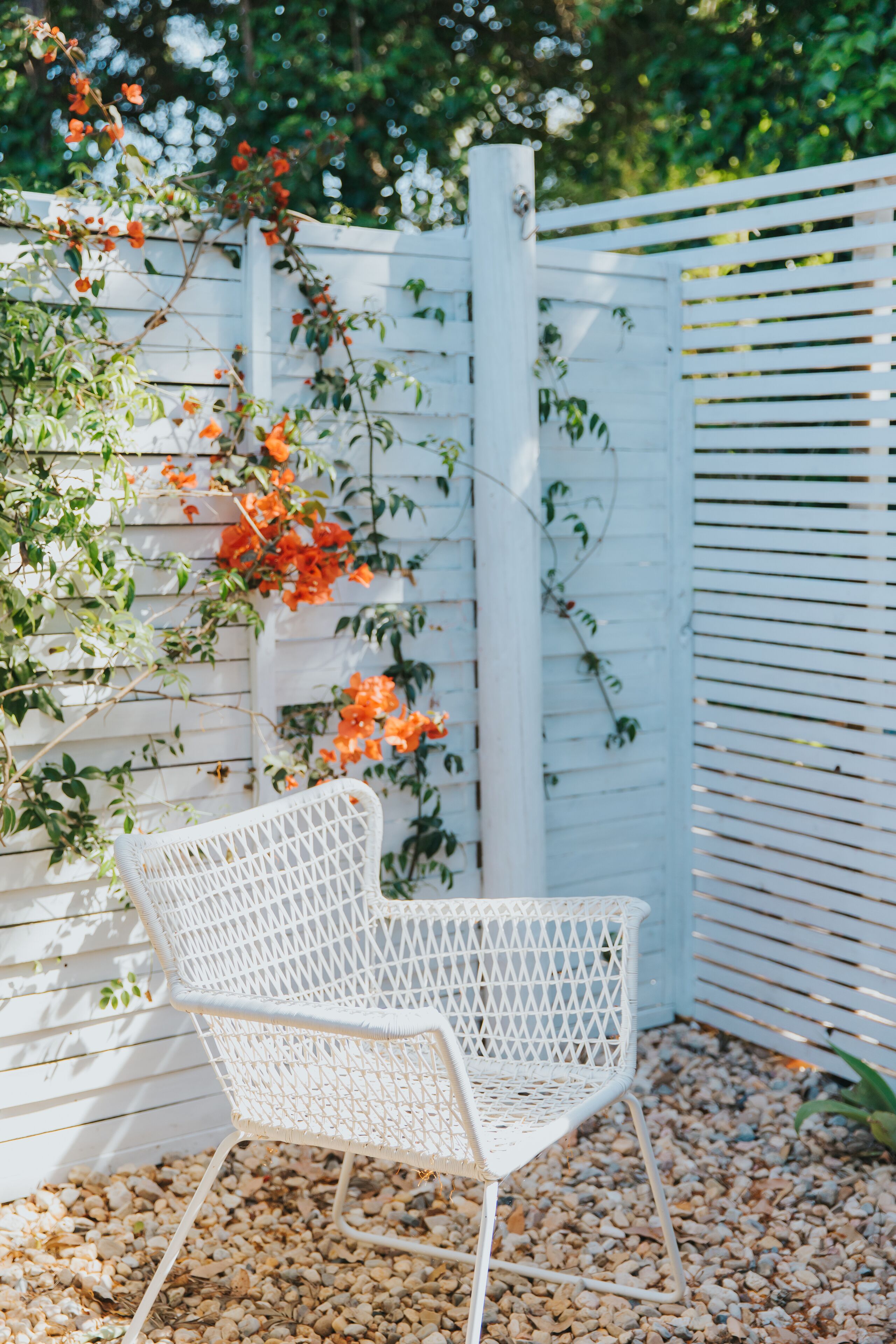 A white wicker chair in a garden with a white fence and orange flowers.