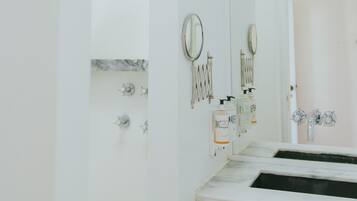 A bathroom with a shower, two sinks, a mirror, and a hanging plant.