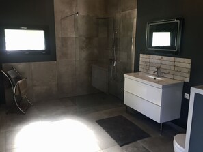 Shower, hair dryer, towels