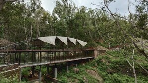 A bridge with a metal framework and a canopy structure. - Seribu Batu Songgo Langit Resort & Camp (Mangunan)