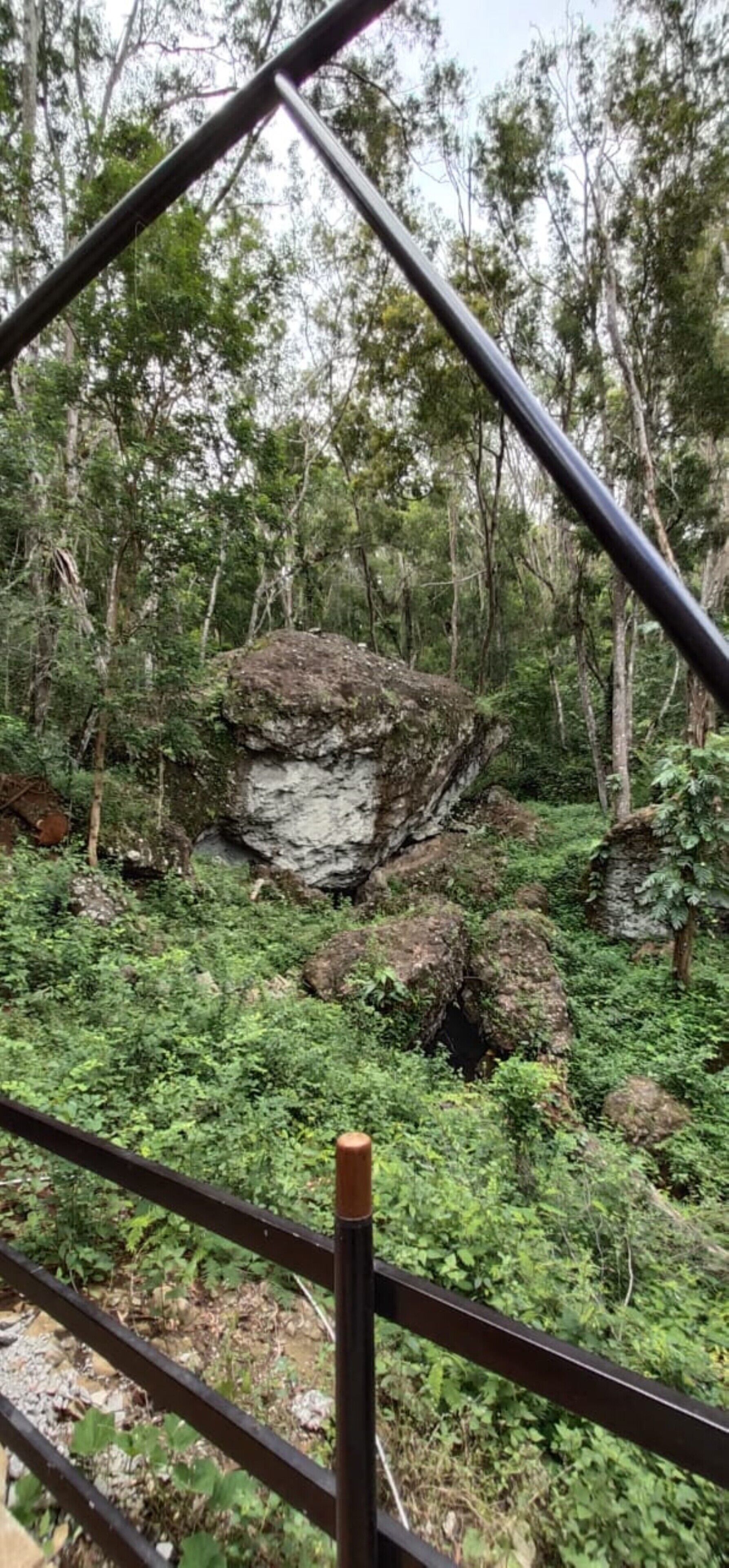 A natural landscape with a large rock formation surrounded by dense green foliage.