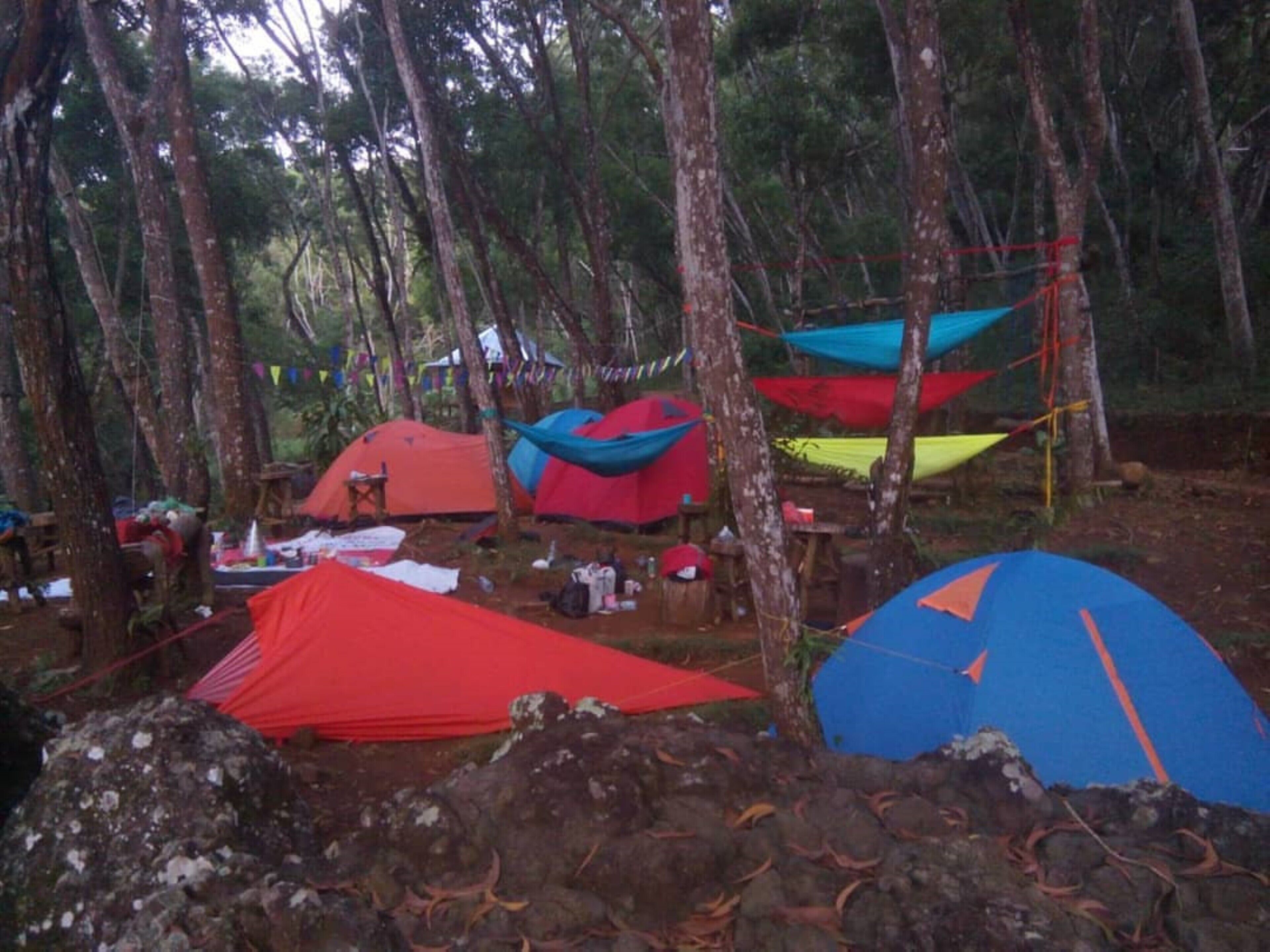A campsite with multiple tents and hammocks among trees.
