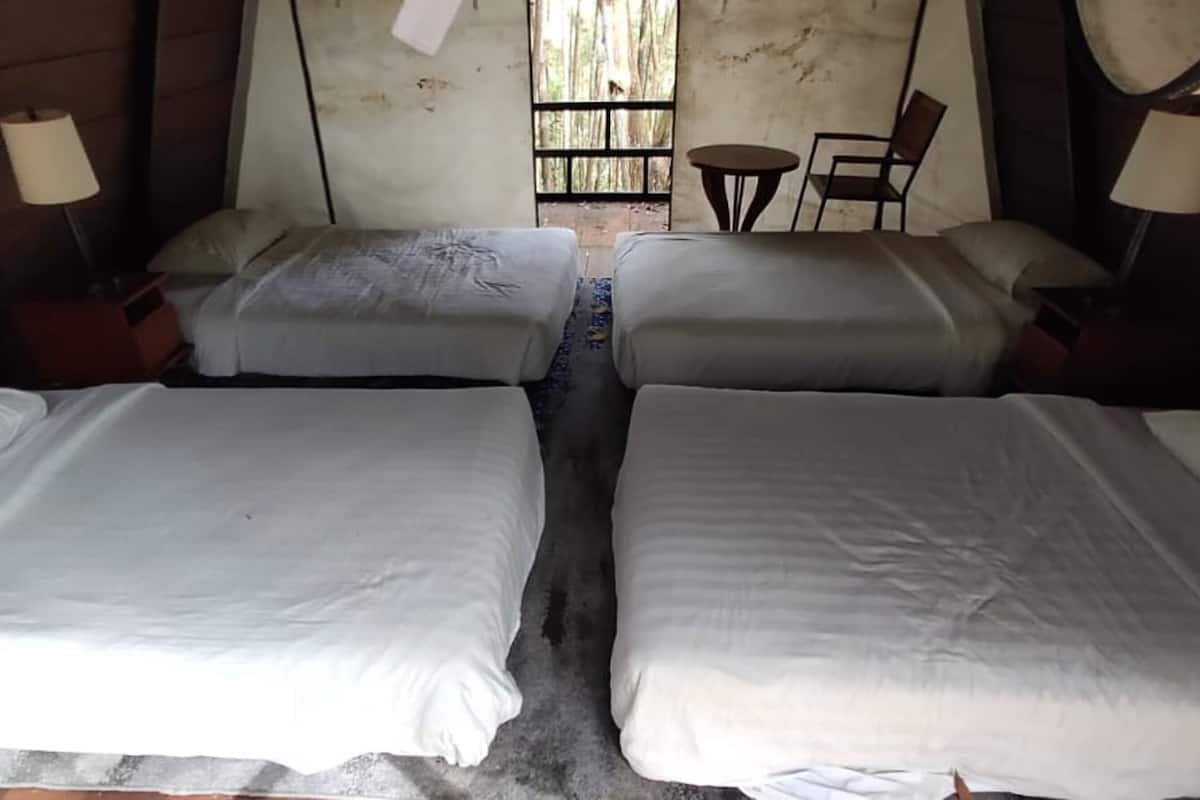 Une chambre avec deux lits, une petite table, deux chaises et une fenêtre donnant sur des arbres.