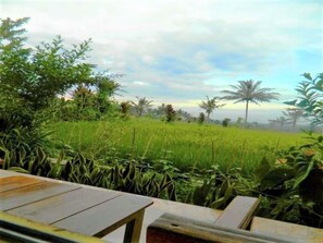 A view of a green field with palm trees in the distance, a wooden bench in the foreground, and a clear sky. - Fida Ijen Crater Guesthouse (Banyuwangi)