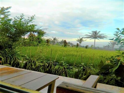 Fida Ijen Crater Guesthouse