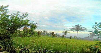 Fida Ijen Crater Guesthouse
