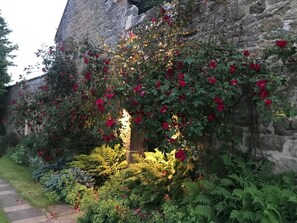 Stroll through the serene garden, surrounded by lush greenery and vibrant blooms.