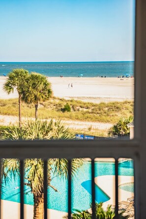 A beach view with a pool and palm trees.