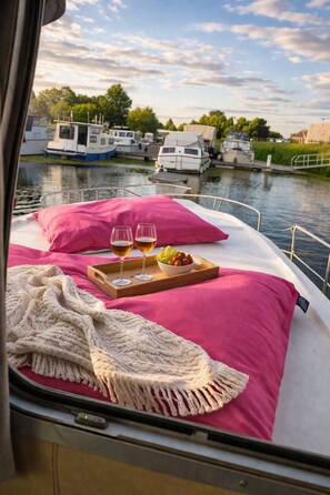 View from property - Riverboat with dockside terrace or navigation option WITHOUT PERMIT (Saint Jean de Losne)