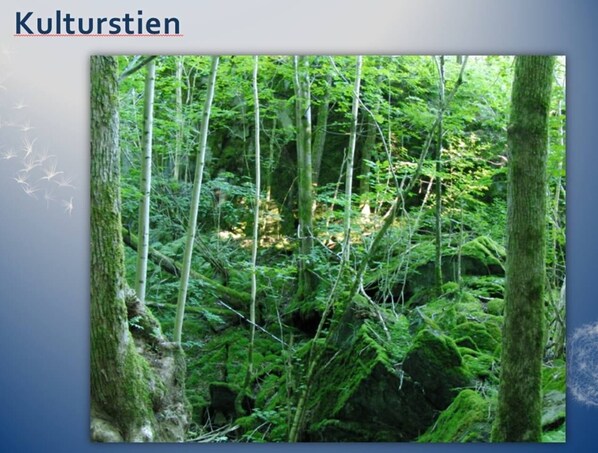 Innvendig
