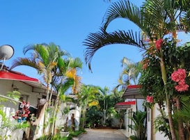 Um caminho estreito ladeado por edifícios com antenas parabólicas, cercado por vegetação exuberante e plantas floridas.