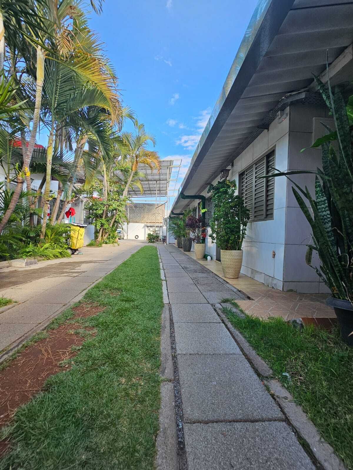 A narrow pathway flanked by lush greenery and a building with a flat roof and large windows.