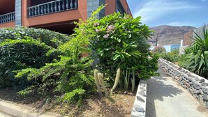 A pathway lined with various plants and a building with a balcony. - Yuremar La Puntilla Apt  3 (Valle Gran Rey)