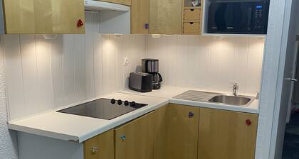 Studio au cœur et pied des piste Puy-Saint-Vincent 1600m