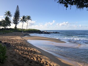 On the beach, sun-loungers - Beautiful condo,air conditioning in bedrooms,ocean 100 yards from unit,sleeps 4 (Kapaa)