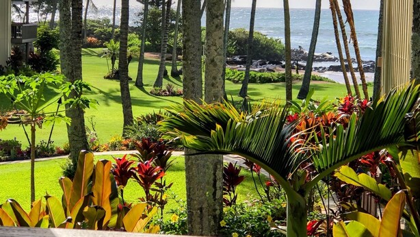A tropical resort with a well-maintained lawn, palm trees, and a view of the ocean. - Beautiful condo,air conditioning in bedrooms,ocean 100 yards from unit,sleeps 4 (Kapaa)