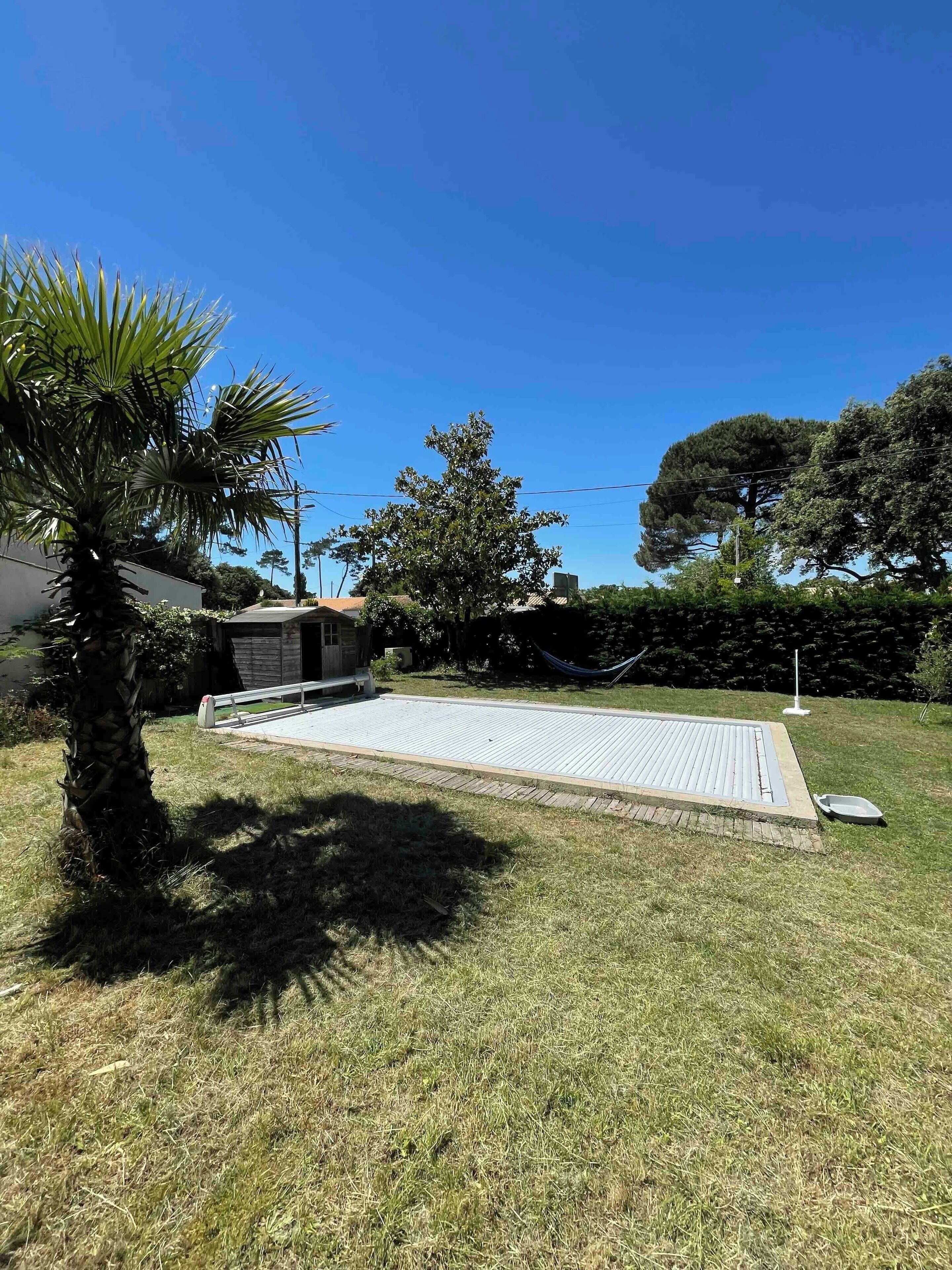 Een achtertuin met een houten terras, een palmboom en een kleine schuur.