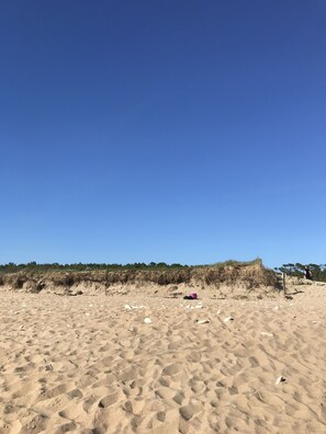 Playa en los alrededores y camastros