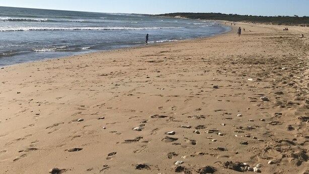 A sandy beach with footprints and a few people walking. - House with swimming pool - forest, beach, no car - 6 pers - Dolus d'Oléron (Vertbois) (Dolus-d'Oléron)