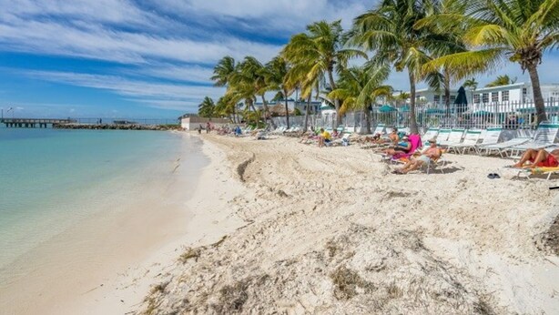 A beach with white sand, palm trees, and a pier in the background. - ALL DOCKED OUT~ Key Colony Retreat Sandy beach's and sunsets (Key Colony Beach)
