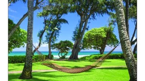 A hammock in a lush green park with trees and a view of the ocean. - One Bedroom Garden View Kauai Coast Available 12/23-12/30/2025 (Kapaa)