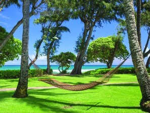 Un'amaca in un parco verdeggiante, con alberi e vista sull'oceano.