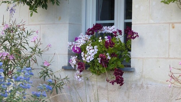 Una ventana con un arreglo floral colgante y un muro de piedra.