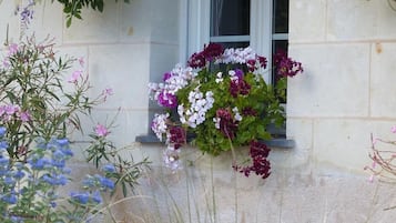 DĂ©tail de lâextĂ©rieur