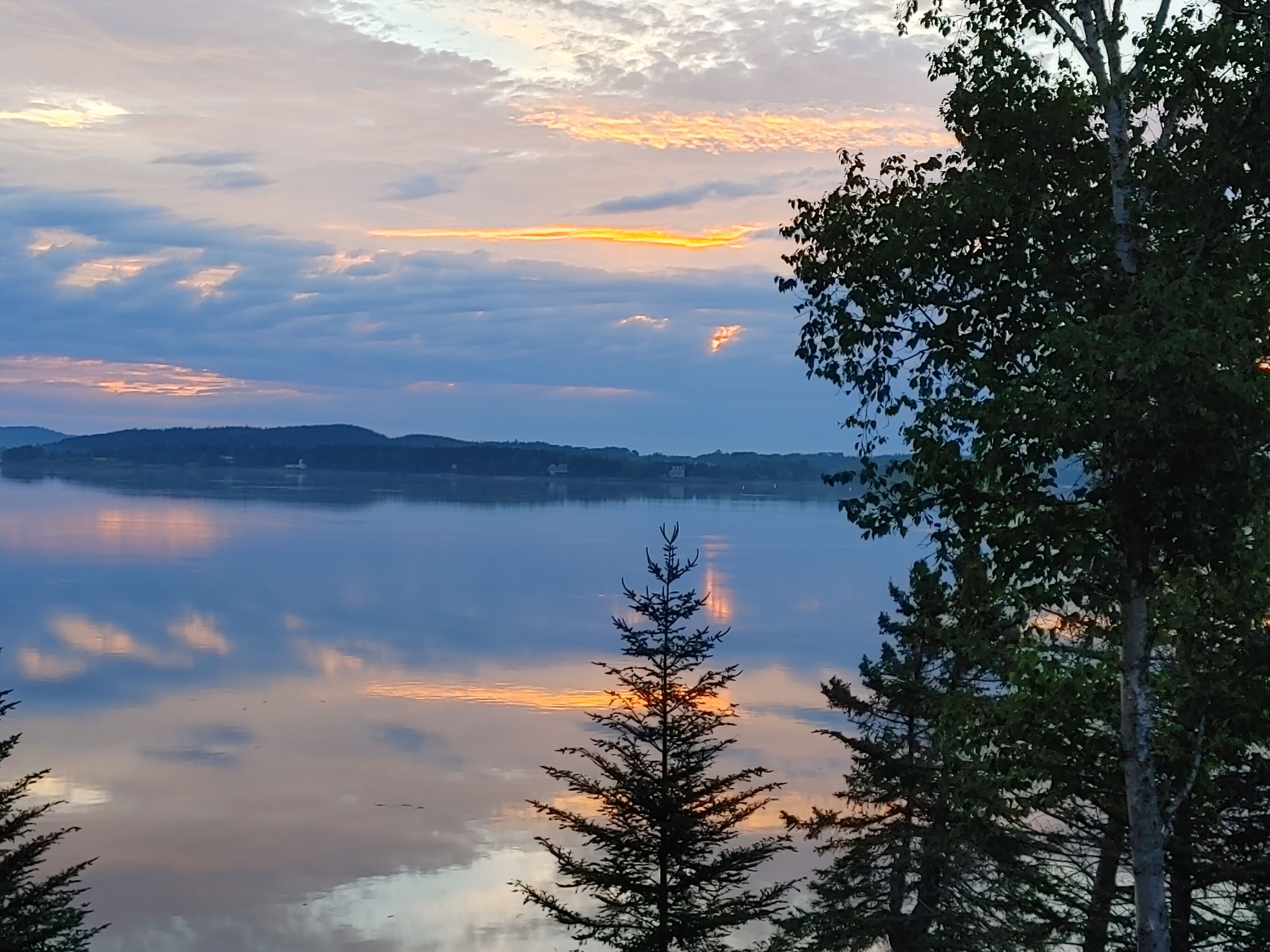   Waterfront cabin/Nature lovers paradise/No 🐶 Fee/ Kayaks/ fire pit/ beach