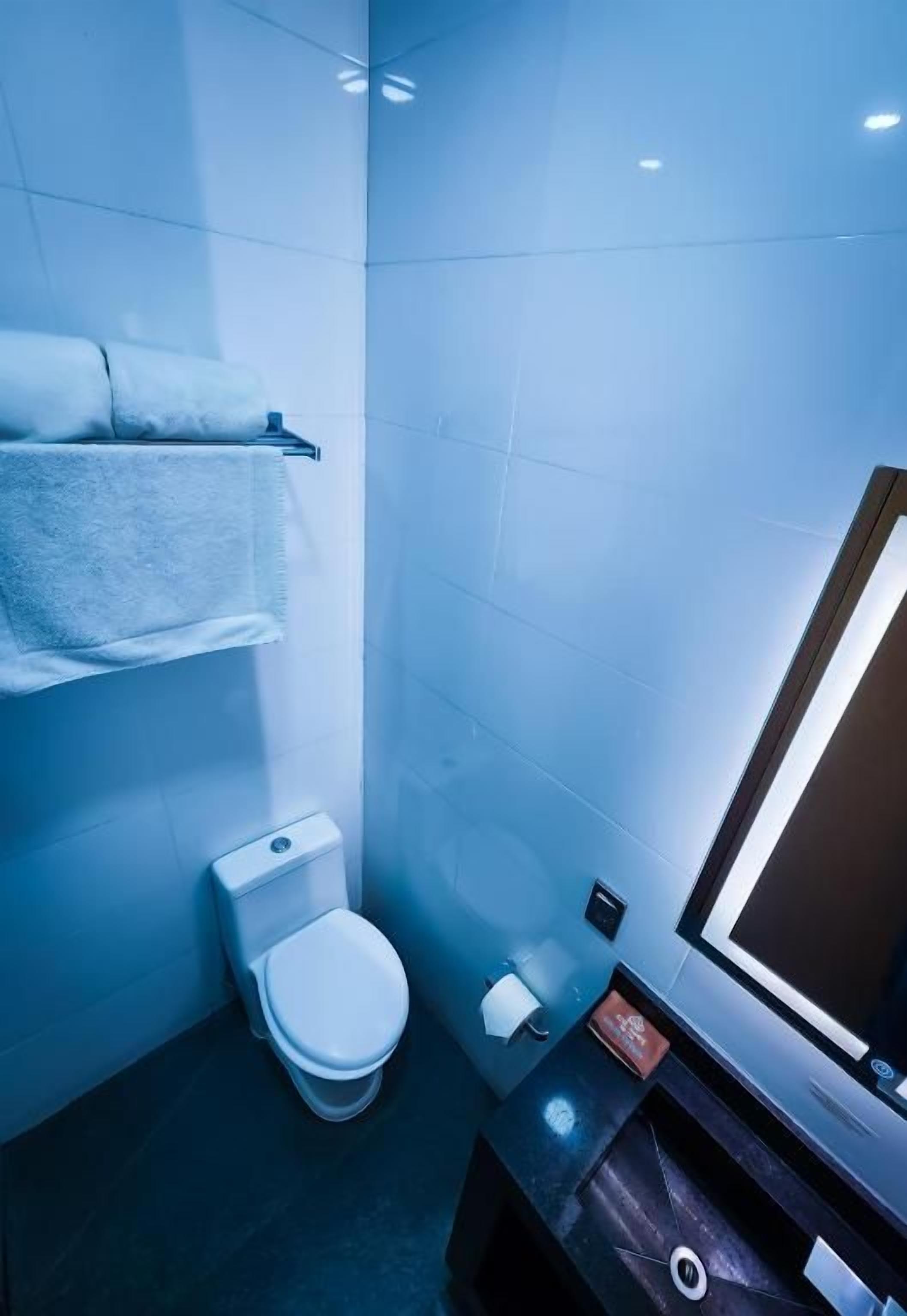 A bathroom with a toilet, a towel rack, a mirror, and a sink.