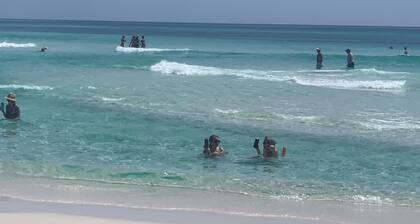 Close to Seaside! Cozy Cottage. Private heated pool