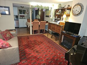 TV connectée, cheminée, lecteur de DVD, livres