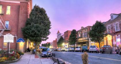 Cozy home with fenced in yard-Dog Friendly . 2 block walk to historic downtown!