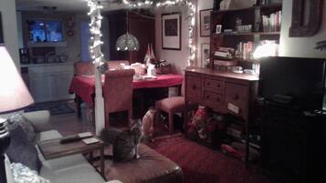 Smart TV, fireplace, DVD player, books