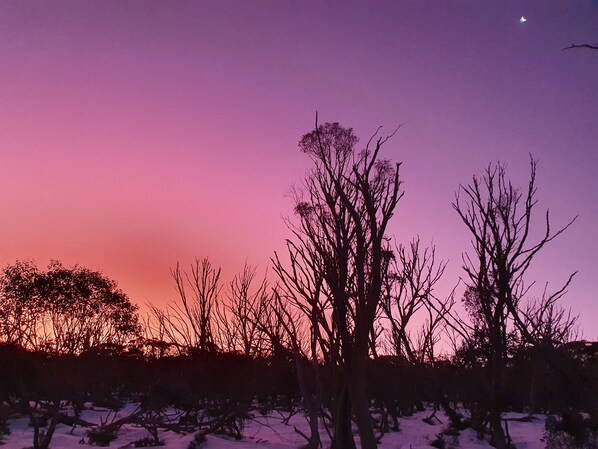 A landscape with trees silhouetted against a sunset sky.